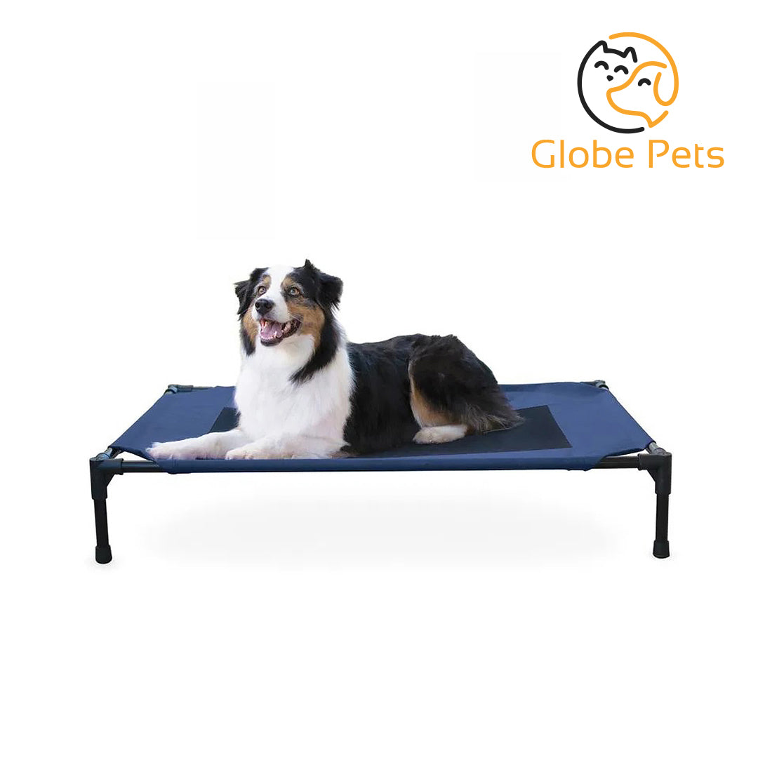 Globe Pets - Dog Bed, Large, Navy Blue